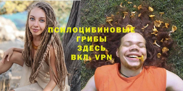 амф Дмитров
