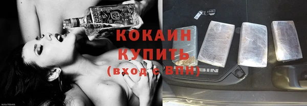 соль ск Алексин
